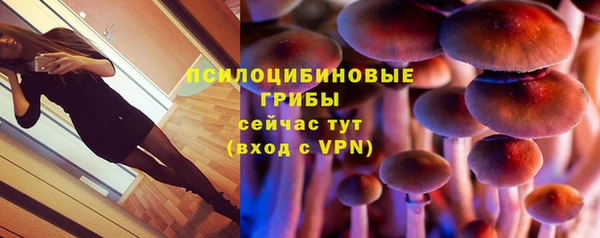 винт Богородицк