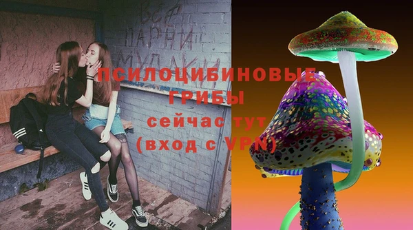 винт Богородицк
