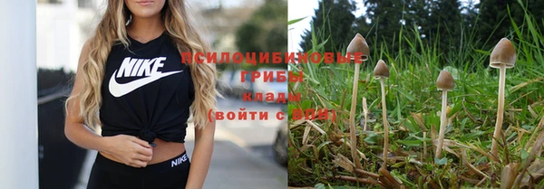 винт Богородицк