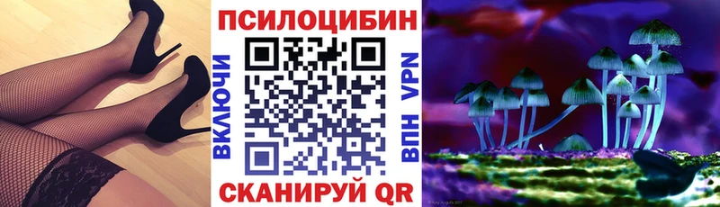 наркотики  Пушкино  Псилоцибиновые грибы Psilocybine cubensis 